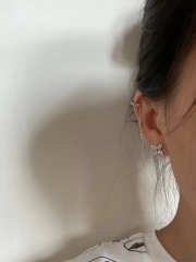 LV Earrings long120416B1 - 4