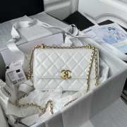 Chanel woc flap white 12×19×8cm - 1