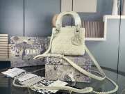 Lady dior matte Rattan print apricot white buckle matel chain 17cm - 5