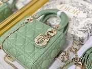 Lady dior fruit green and gold buckle matel chain 17cm - 2