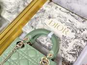 Lady dior fruit green and gold buckle matel chain 17cm - 3