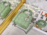 Lady dior fruit green and silver buckle matel chain 17cm - 1