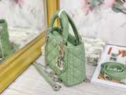 Lady dior fruit green and silver buckle matel chain 17cm - 2