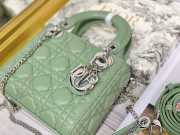 Lady dior fruit green and silver buckle matel chain 17cm - 3