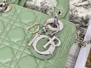 Lady dior fruit green and silver buckle matel chain 17cm - 4