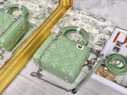 Lady dior fruit green and silver buckle matel chain 17cm - 5