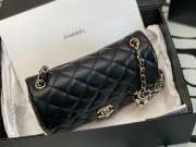 Chanel flap black color 20 cm - 6