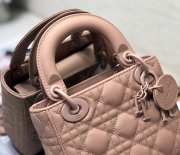 Dior Lady Pink 17cm - 5