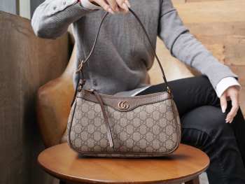 Gucci Ophidia Handbag 25x15x6.5cm