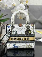 Chistian Dior D-lite M0565 White 24x20x11cm - 1