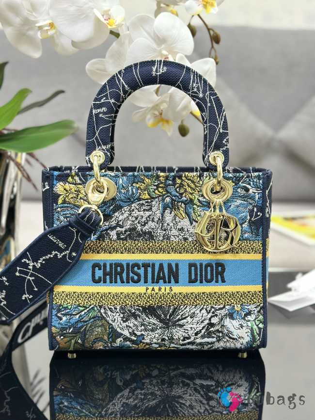 Chistian Dior D-lite M0565 Yellow and Blue 24x20x11cm - 1