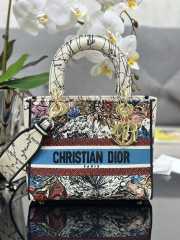 Chistian Dior D-lite M0565 White and Red 24x20x11cm - 1