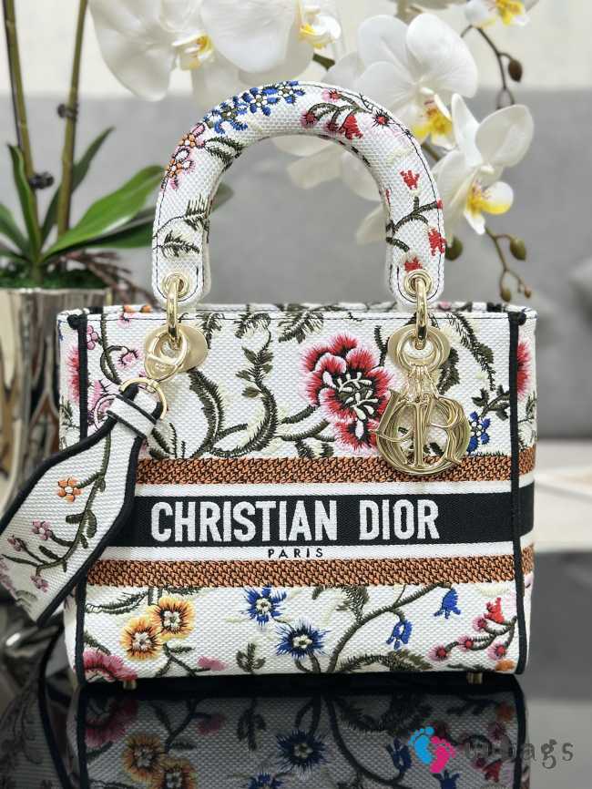 Chistian Dior D-lite M0565 White and Brown 24x20x11cm - 1