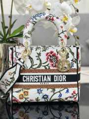 Chistian Dior D-lite M0565 White and Brown 24x20x11cm - 1