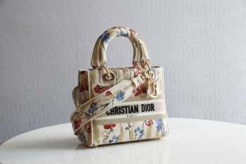 Chistian Dior D-lite M0565 Beige 24x20x11cm