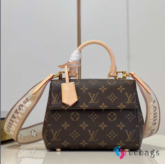 Louis Vuitton Cluny BB Monogram 20 x 16 x 7.5cm - 1