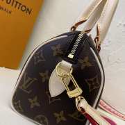 Louis Vuitton Nano Speedy 20x12x25cm - 5