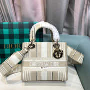 Chistian Dior D-lite Grey 24x20x11cm - 1