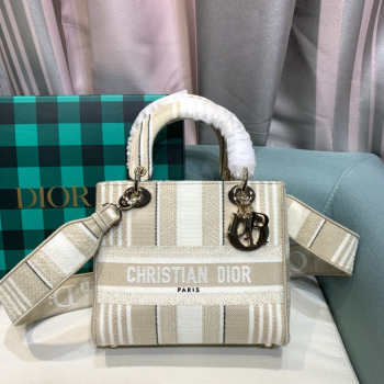 Chistian Dior D-lite Grey 24x20x11cm