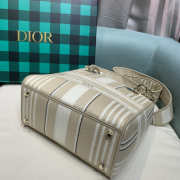 Chistian Dior D-lite Grey 24x20x11cm - 5