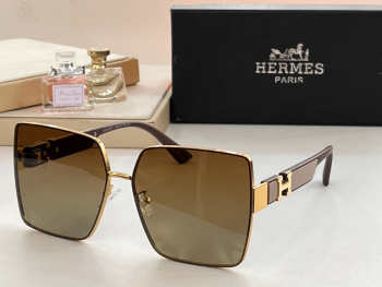 Hermes Glasses 