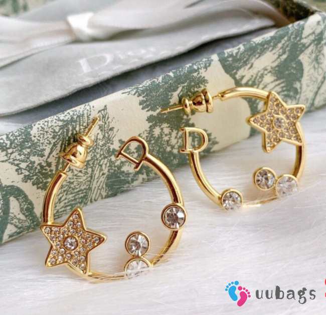 Dior Earrings E0001 - 1