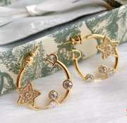 Dior Earrings E0001 - 1