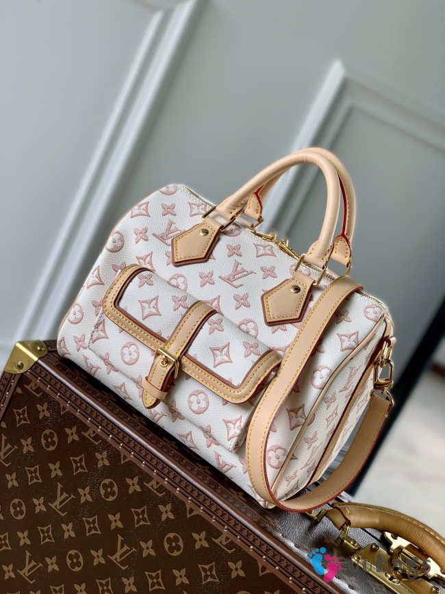 Louis Vuitton Speedy Material Canvas in White 25x19x15cm - 1