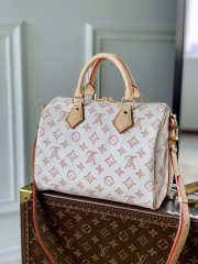 Louis Vuitton Speedy Material Canvas in White 25x19x15cm - 2