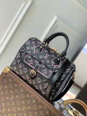 Louis Vuitton Speedy Material Canvas in Black 25x19x15cm - 1