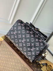 Louis Vuitton Speedy Material Canvas in Black 25x19x15cm - 5