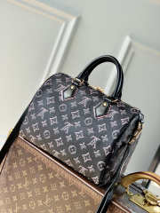 Louis Vuitton Speedy Material Canvas in Black 25x19x15cm - 3