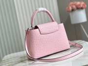 Louis Vuitton Capucines Ostrich Pink 31.5x20x11 cm - 2