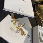 Dior Earrings E0002 - 4