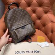 Louis Vuitton Palm Springs MM 30 x 33 x 16cm - 1