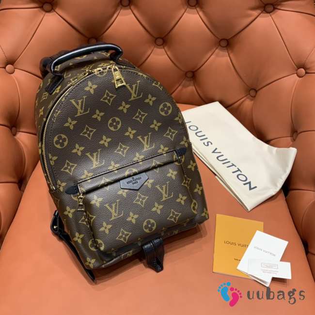 Louis Vuitton Palm Springs PM M44871 22x29x10cm - 1