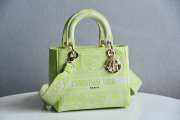 Dior Lady D-Lite Green Gold Buckle 24cm - 1