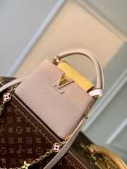 Louis Vuitton Capucines in Light Pink 21x14x8cm - 1