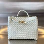 Bottega Veneta Small Andiamo 25x22x10.5cm - 1