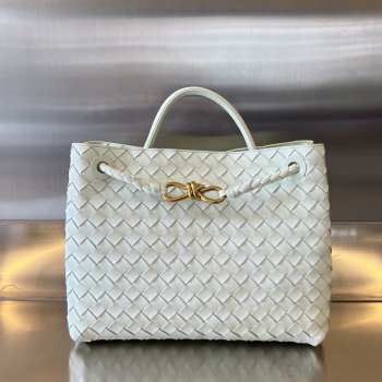 Bottega Veneta Small Andiamo 25x22x10.5cm