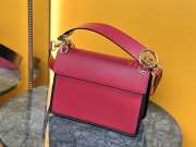 Fendi Peekaboo Pink 25X18cm - 3