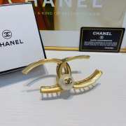 Chanel Claw hairs C001 - 2