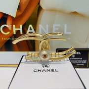 Chanel Claw hairs C001 - 4