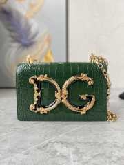 D&G Girls Foiled crocodile-print green calfskin 14.5x21x3cm - 1