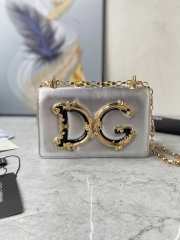 D&G Girls Silver bag in plain calfskin 21x14.5x3cm - 1