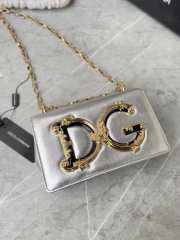 D&G Girls Silver bag in plain calfskin 21x14.5x3cm - 2