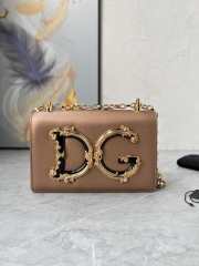 D&G Girls Copper color bag in plain calfskin 21x14.5x3cm - 1