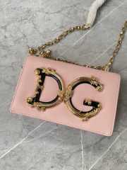 D&G Girls Pink bag in plain calfskin 21x14.5x3cm - 5