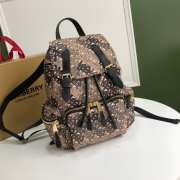 Burberry Backpack 22x33x14cm - 5