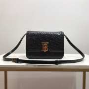 Burberry Thomas Bur Black 21x16x6cm - 6